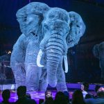 2019-04-08-elephant-numerique-roncalli