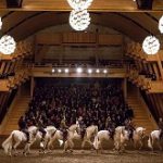 2019-06-19-academie-equestre-nationale-versailles-bartabas