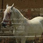 2019-07-26-cheval-blanc-balade-equestre-et-musicale