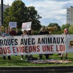 2019-08-18-anti-animaux