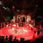 2019-10-16-hanoi-international-fest