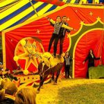 2019-11-02-cirque-equestre-laurora