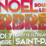 2019-12-09-noel-sous-les-arbres-reunion-visuel