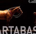 2020-03-17-bartabas-cheval-a-l-autre-zingaro