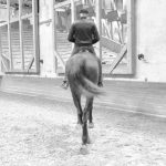 2020-06-29-bartabas-a-cheval-de-dos-versailles