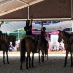 2020-07-22-chevaux-et-ecuyeres-avec-fleurets-academie-equestre-de-versailles