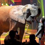 2020-08-19-elephant-sans-defenses-et-dompteur