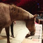 2020-09-18-cheval-et-musique-console-tech