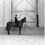 2020-10-30-bartabas-et-cheval-a-versailles-cfranck-fokerman