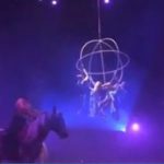 2020-11-16-tarumba-cheval-et-appareil-aerien-capture