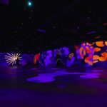 2020-12-03-projections-c-oasis-immersion