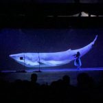 2021-08-11-baleine-et-violoniste-ecocirque-bouglione-c-capture-video