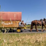 2022-05-28-roulotte-et-chevaux-cirque-bidon-c-mathieu-genon