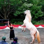 2022-07-30-marie-claude-bouillon-et-cheval-blanc-rv-magiques-appalaches-c-luna-caballera