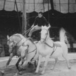 2024_09_03 cavalier debout trio chevaux_Cirque Kine