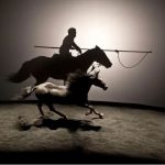 2025_03_07 Zingaro cheval et silhouette_X-DR