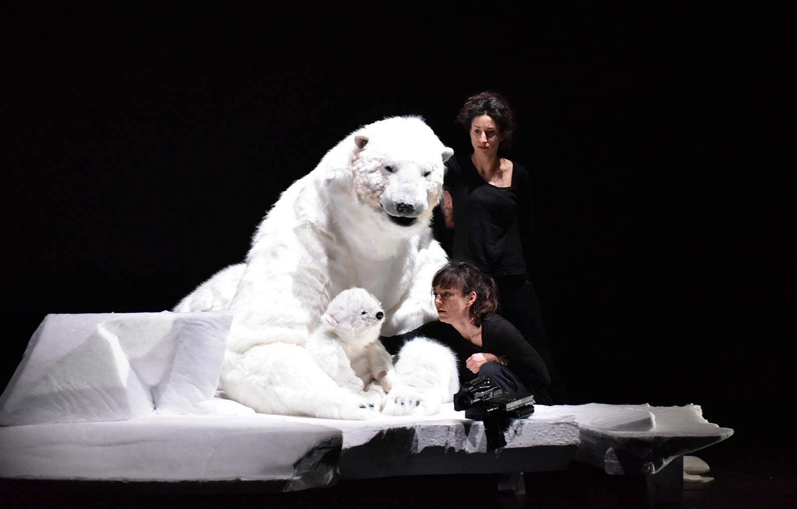 2025_03_14-ours-polaire-et-manipulateurs-Dimanche-Focus-et-Chaliwate_Alice-Piemme.jpg