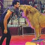 2025_04_16 dompteur bisou lion_cirque Tanta probablement
