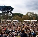 2025_05_03 foule parc extérieur_Serralves em festa_André Delhaye