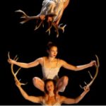 2025_07_09 trio Faune_Libertivore Fanny Soriano