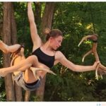 2025_09_09 aérienne arbres et bois Faune Libertivore_Sarah Megard