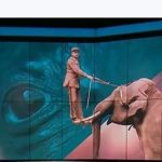 2025_09_15 éléphant avec homme sur défenses_Archives