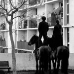 2025_09_20 duo chevaux et acrobates Théâtre du Centaure_Philippe Charbonnière