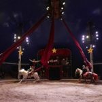 2025_10_31 cavaliers chevaux et piste Pagnozzo_Christophe Raynaud de Lage