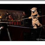 2026_01_29 mascotte ours Fanfare électrique Cirque Électrique_Hervé Photograff