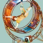 2026_02_11 image roue giratoire Filles renard pâle_entre deux BIAC