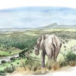 2026_05_08 dessin éléphant dans nature refuge